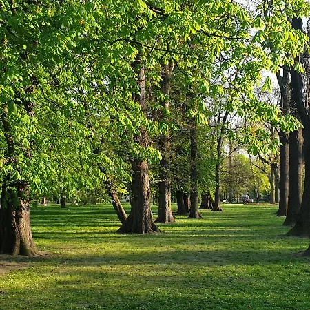 Apartament Park Lane Lea *